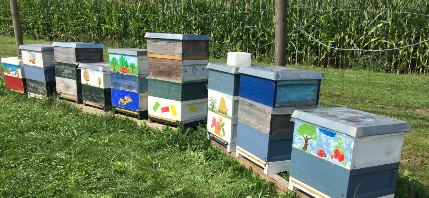 Bienenstand