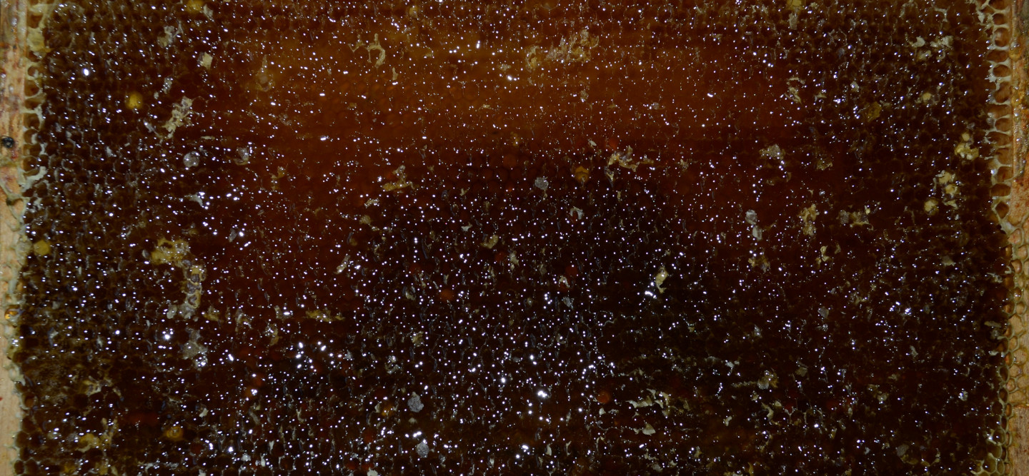 Honeysource
